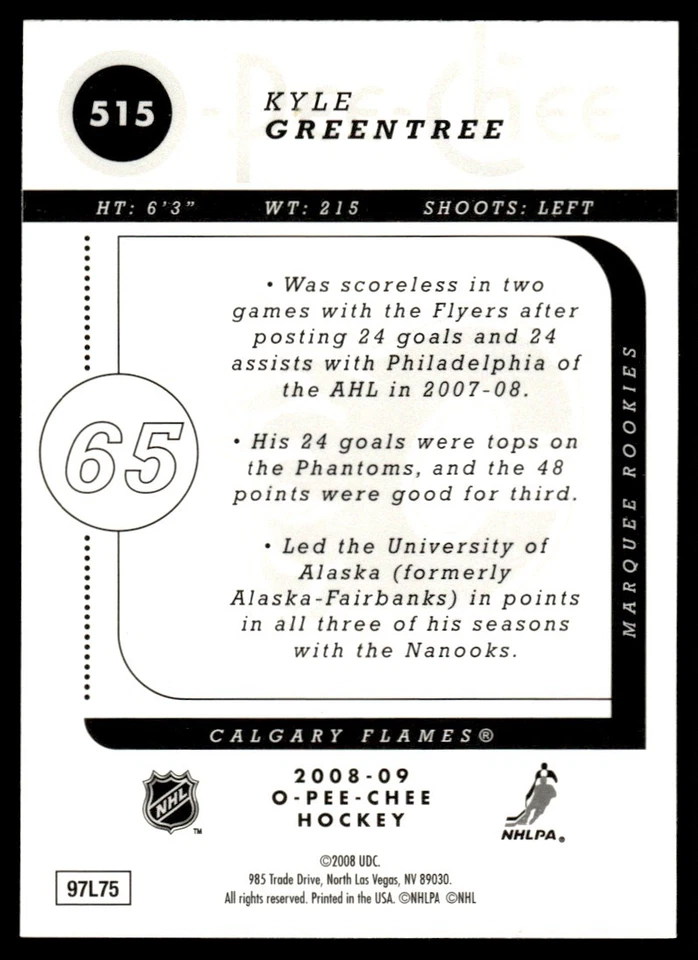 2008-09 O-Pee-Chee Gold Kyle Greentree Rookie Calgary Flames #515 - Image 2 of 2