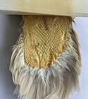 Collins Hackle Farm Light Bronze Dun Hen Cape And Saddle  — photo 8
