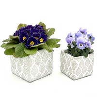 Blumentopf ÜBertopf Pflanztopf Pflanzschale Quadratisch Beton Topf KüBel 018 Set