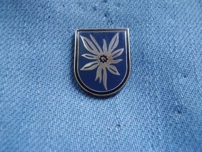 Pin Bundeswehr Jagdbombergeschwader 34 Allgäu  2. Staffel Edelweisstaffel