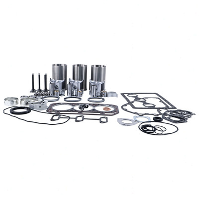 Overhaul Rebuild Kit for Komatsu 3D84-1 3D84-1C 3D84-1FA Excavator PC20 PC30