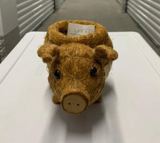 Pig Planter - Coco Coir Pots