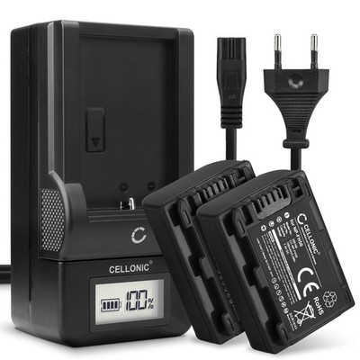 2x Akku für Sony Cyber-shot DSC-HX100 / HX100V DCR-DVD908 700mAh + Ladegerät