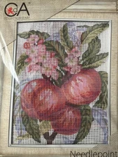Rto Printed needlepoint tapestry   20x25 Cm  Kit With Floss
