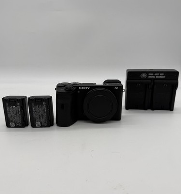 Sony A6600 Mirrorless Camera Body - Mint, 2 Sony Batteries & Charger, Tested