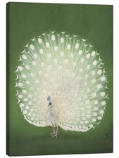 Leinwandbild Weißer Pfau - Ohara Koson