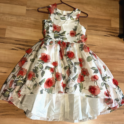 NANETTE LEPORE - Summer Spring Girl's Flowers Dress -l(14)G(14)