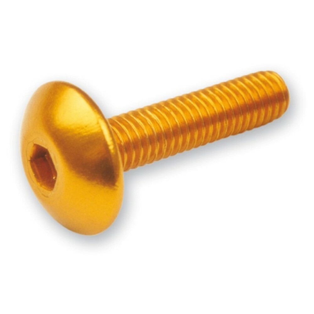 Free Shipping Kit 6 Allen Screws M6X20 Gold V Parts For Motorcycle