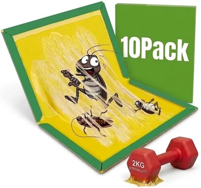 Pack de 10 tampons adhésifs piège à colle - panneaux antiparasitaires domestiques - Photo 1/4