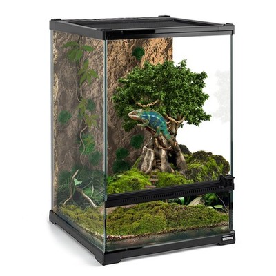 Mini Reptile Glass Terrarium Tank 8''x8''x12  Full View with Front Opening D