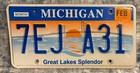 Michigan Great Lakes Splendor License Plate - February 2003 Tab -7EJ A31 — photo 1