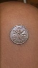 1978 Canada Small Cent 1 Cent Bronze RB Maple Leaf Coin KM# 60 — photo 2