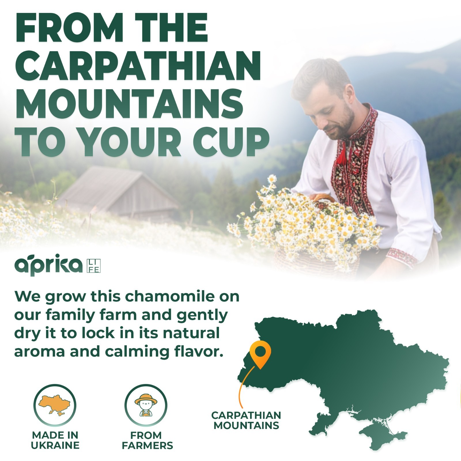 Chamomile Tea, Peppermint Tea, Sleep Tea, Calm&Relax, Herbal Teas, No Caffeine