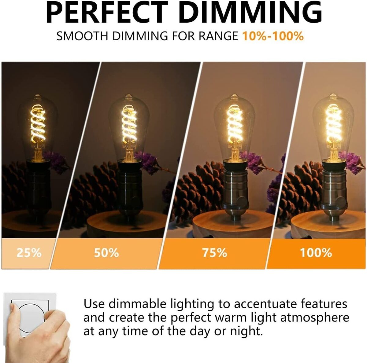 6 pk ST19 ST58 6W Dimmable Vintage Edison LED Bulb Warm 6 pk ST19 ST58 6W Dimmable Vintage Edison LED Bulb Warm