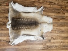 Reindeer Hide: Medium Size 33-M-G4049 Y1G