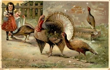 Germany, Nebraska, Mitchell, Ben Weir, 1911, Thanksgiving Postcard