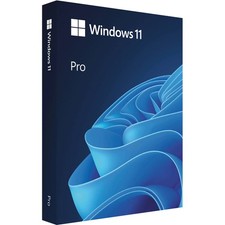 Microsoft Windows 11 Professional 64-Bit, Single License, USB Flash Drive