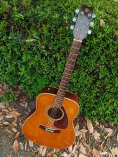 Yamaha FG-240 Green Label Akustikgitarre Kontakt Tonabnehmer Japan Vintage...
