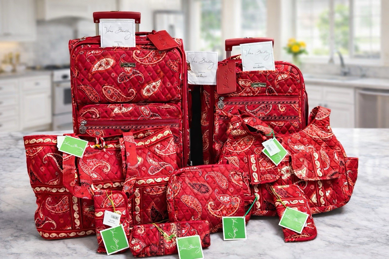 💎BRAND NWT! 💎Vera Bradley HUGE SET! Mesa red suitcases