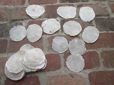 25 PCS LARGE NATURAL  UNCUT CAPIZ SEA SHELL BLANKS. 4 TO 5 INCHES AVERAGE.