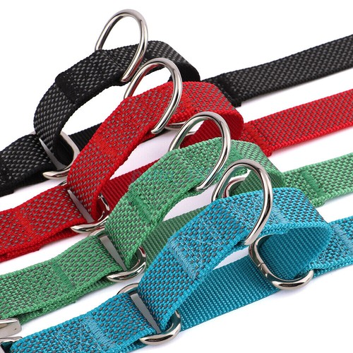Personalized Reflective Nylon Martingale Dog Collar Custom XS S M L Dog Collar - Picture 15 of 27