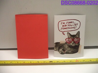 Qty = 4: Did You Say Something Bow Chicka Meow Meow Valentine's Day Card