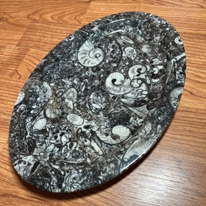 11.25”x7.30” Hand Carved Oval Fossil Plate Orthoceras & Ammonite Fossil 400 Mil
