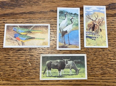 1963  Wildlife In Danger  Brooke Bond Cards Numbers 15, 16, 39 & 39