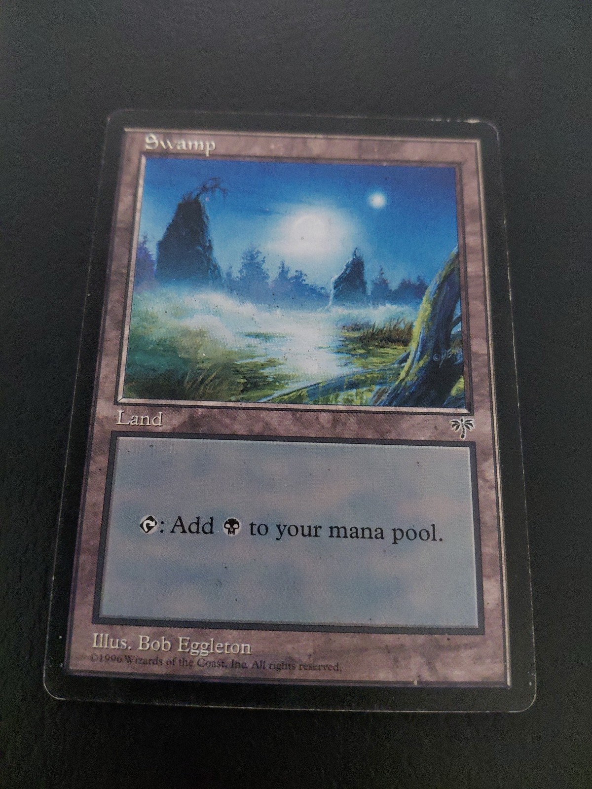 MTG Magic the Gathering Swamp (340/351) Mirage LP