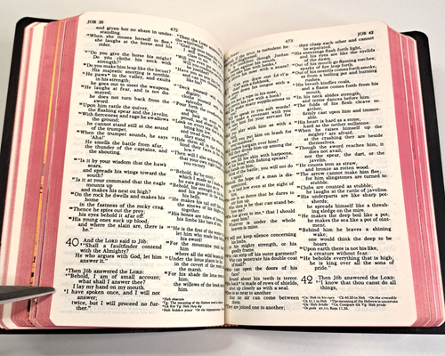 Vtg 1972 Holy Bibe Concordance Revised Standard Version Red Letter Thomas Nelson - Afbeelding 11 van 13