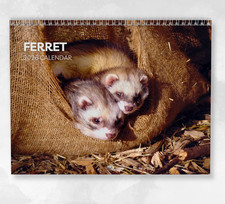 Ferret Calendar 2026: Monthly Wall Calendar with Notes, opens to A3