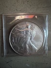 2005 American Silver Eagle $1 Uncirculated 1 oz .999 Fine Pure Silver Dollar