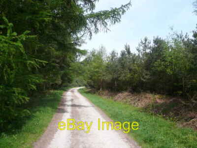 Foto 6x4 Chatsworth Nachlass - Auf dem Weg zum Schweizer See Edensor um 2008