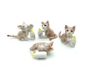 4 Kitten Cat Brown With Milk Bottle Ceramic Animal Figurine Statue, Cat Lovers