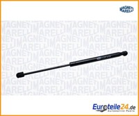 Gasfeder, Koffer-/Laderaum Magneti Marelli 430719051500