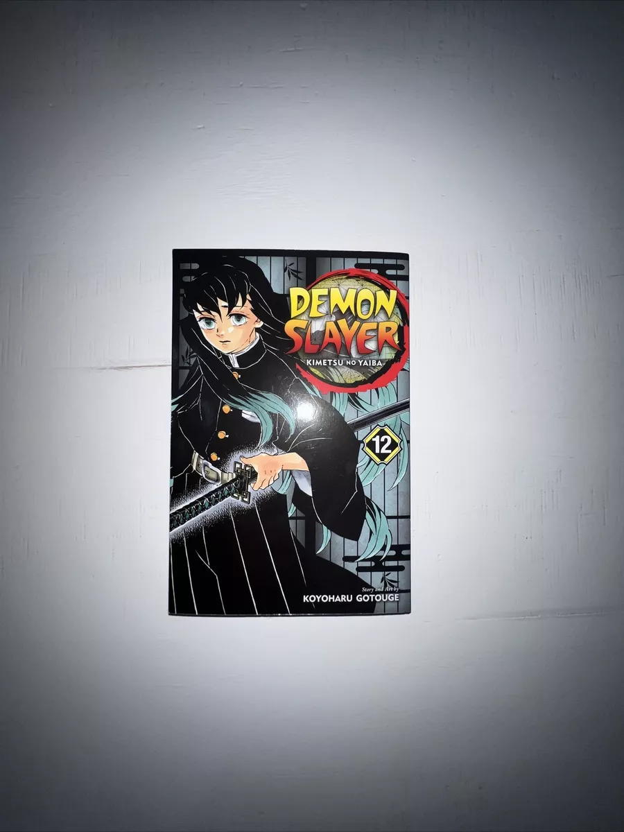 Demon Slayer - Kimetsu No Yaiba Vol. 12
