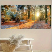 3pcs Autumn Forest Sunbeams  Wall Art Canvas Framed 50x70cm