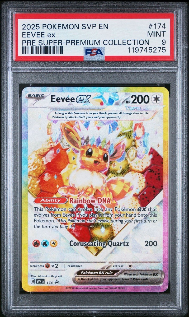 トレーナーズ vol.17 カードe カメール プロモ　psa10 カメール 012/T 「トレーナーズVOL.17」おまけカード ポケモン