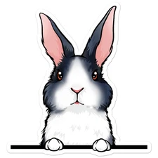 Peeking Dutch Rabbit - Vinyl Decal Sticker - Car Window Laptop - ebn11634