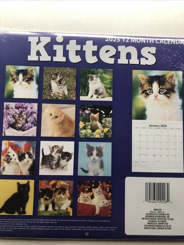 2025 Wall Calendar - Kittens -12 Month-12 x 12 Inches Brand New SEALED - Picture 3 of 4