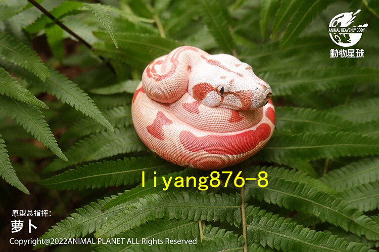 Animal Planet 09 Snake 2.0 Blind Box Model Ball Python Emerald Tree Boa ...