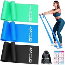 Resistance Bands for Working Out, Exercise Bands for Physical Therapy, Stretc...