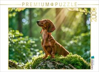 Calvendo Puzzle Curiosity Leads To Happiness | 2000 Pieces, Finished Size 35.4 ×
