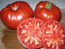 10 Graines De Tomate Grosse Du Gers Bio
