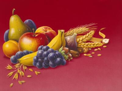 Ceramic Backsplash Tile Mural Fruit Kitchen/Bathroom - Fruits - Harro Maass