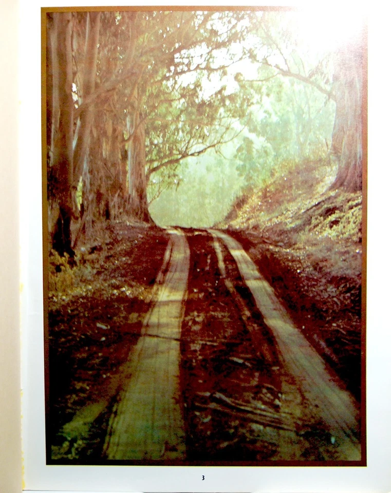 Cancionero Neil Young Harvest - Guitarra Voz Piano - 1972 - Excelente Estado Foto 4 de 4