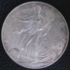 1999 American Silver Eagle 1 Troy Oz .999 Fine Silver Encapsulated