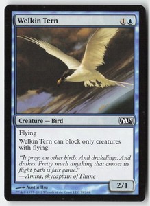 Welkin Tern - Magic 2013 (M13) #79 Common
