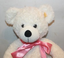 Steiff Lotte White Teddy Bear Plush 10" 111778 w/Button Tag Adorable