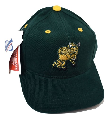 Logo Athletic Little Boys NDSU North 